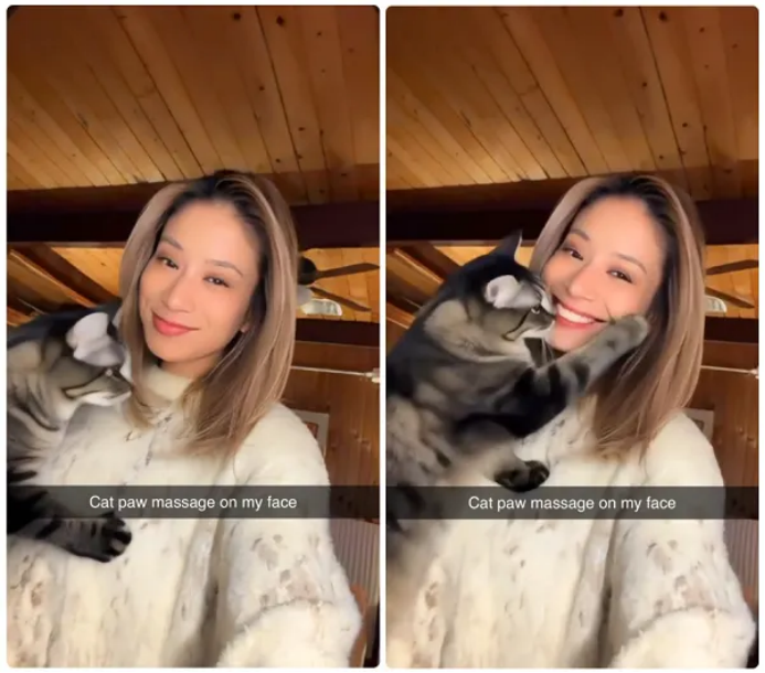 Snapchat 推出定制 AI 镜头功能297