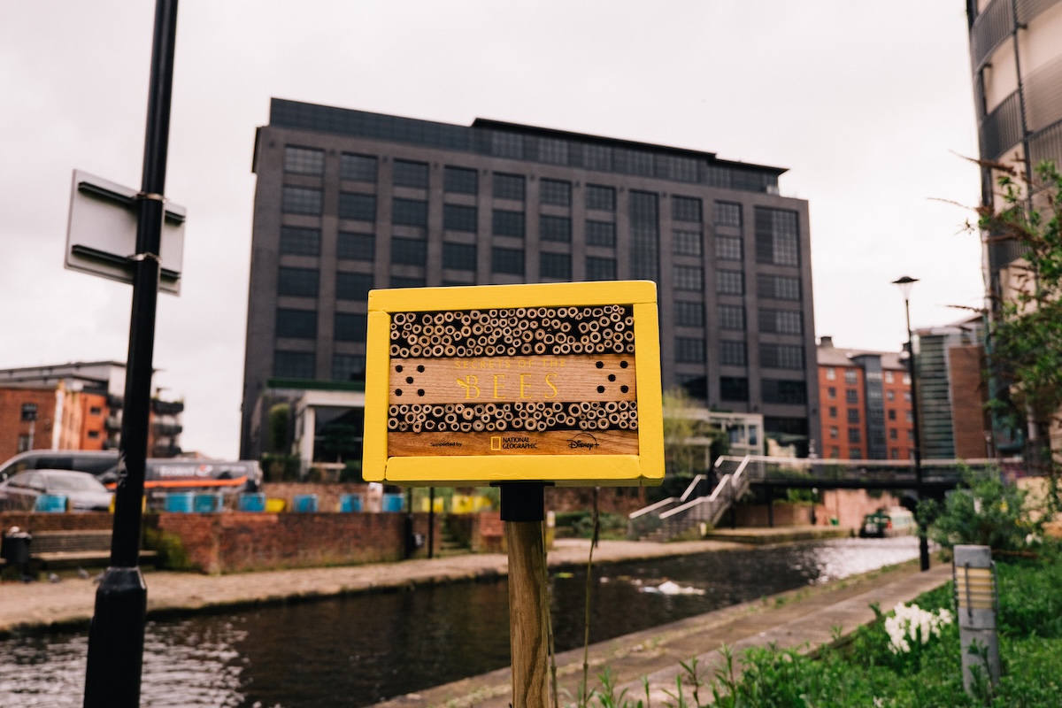 Canal-Dakota Canal-Dakota