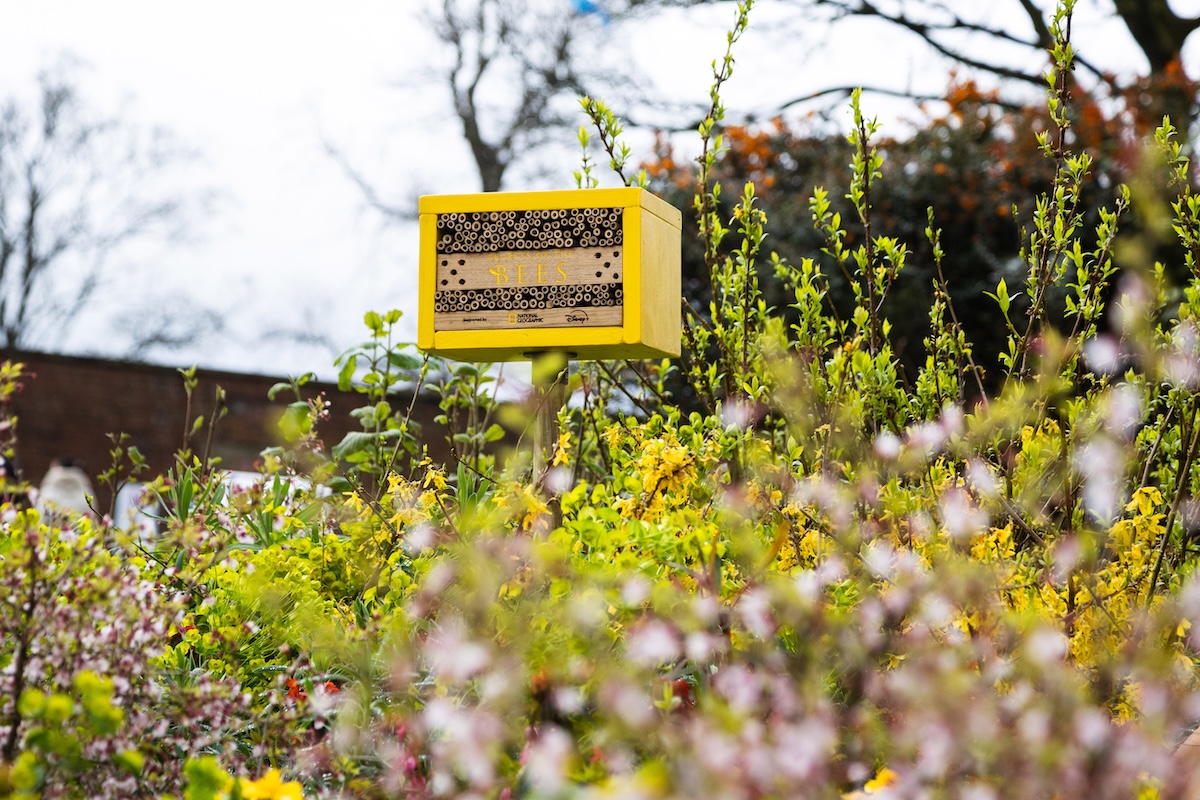 Heaton-Park-031 Heaton-Park-031