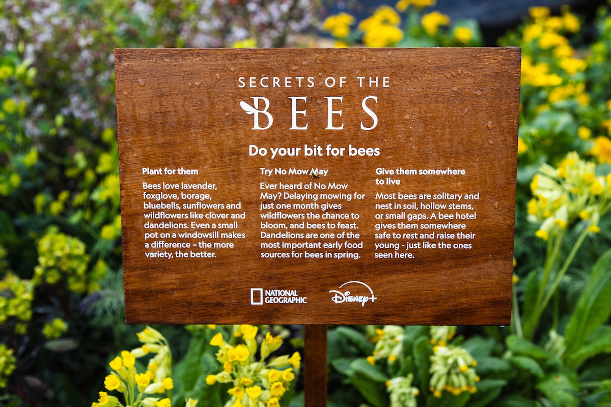 Heaton-Park-002 Heaton-Park-002